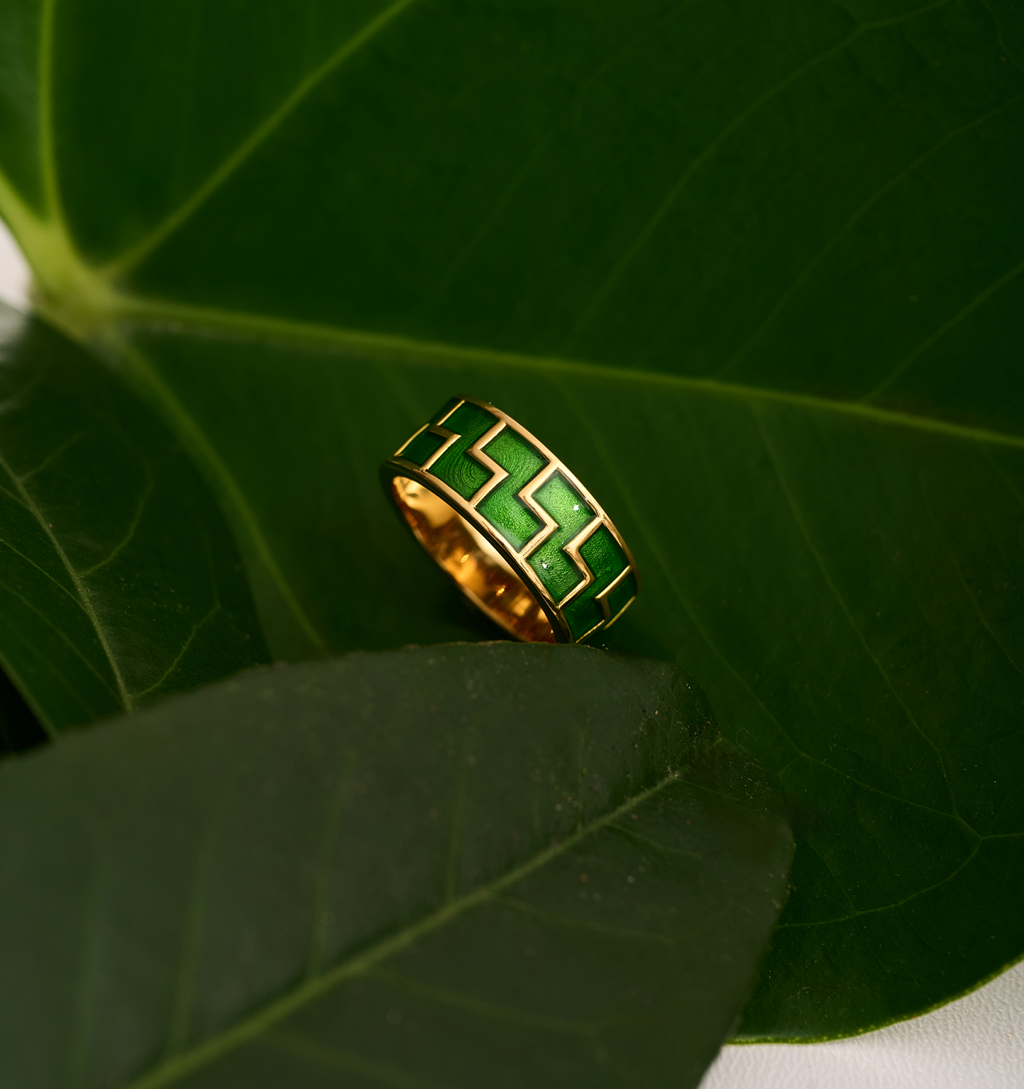Arohi Ring gold band with green geometric pattern on large green leaves background