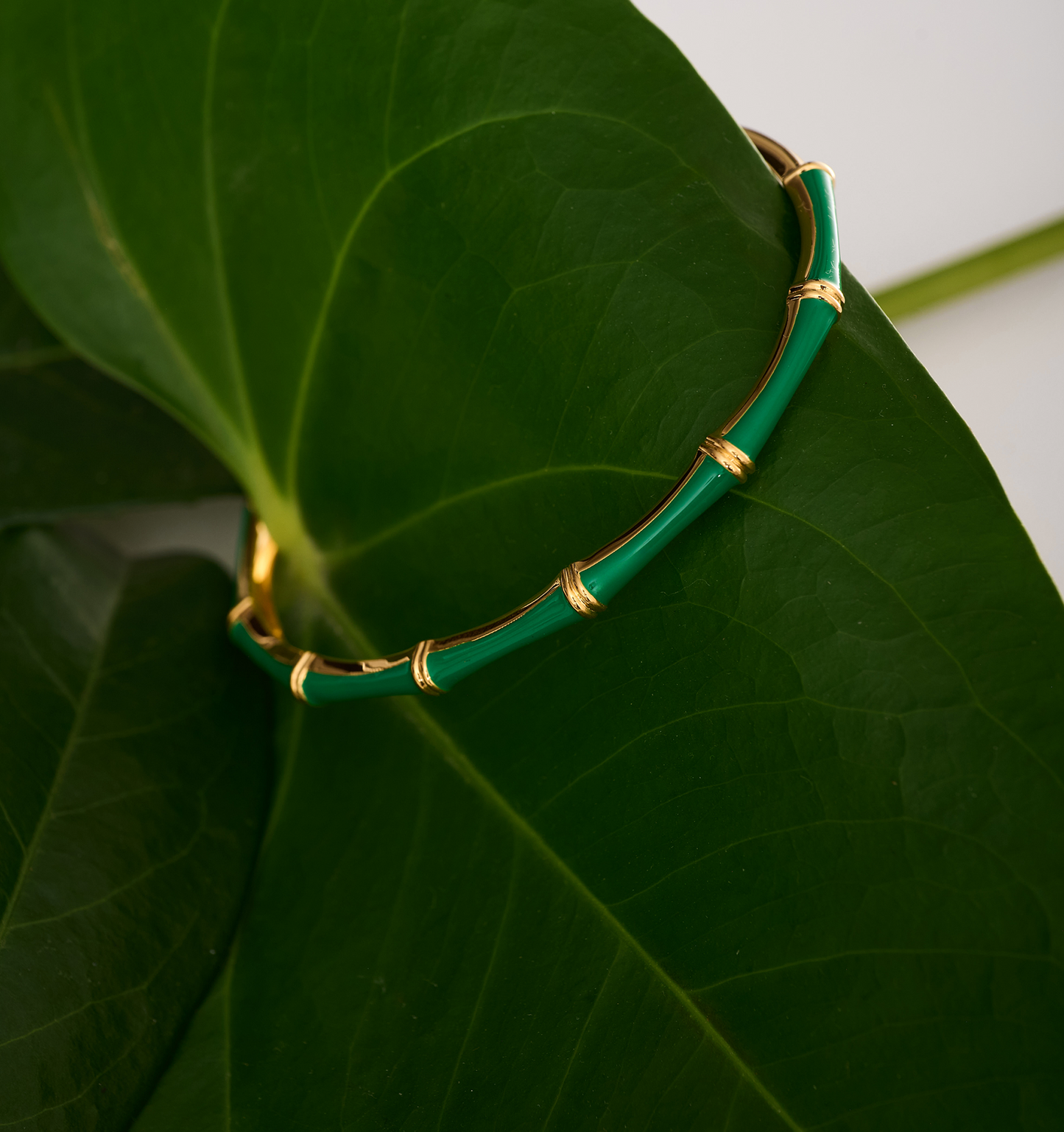 Baana Cuff green enamel bamboo-inspired bracelet with gold edges on green leaf background