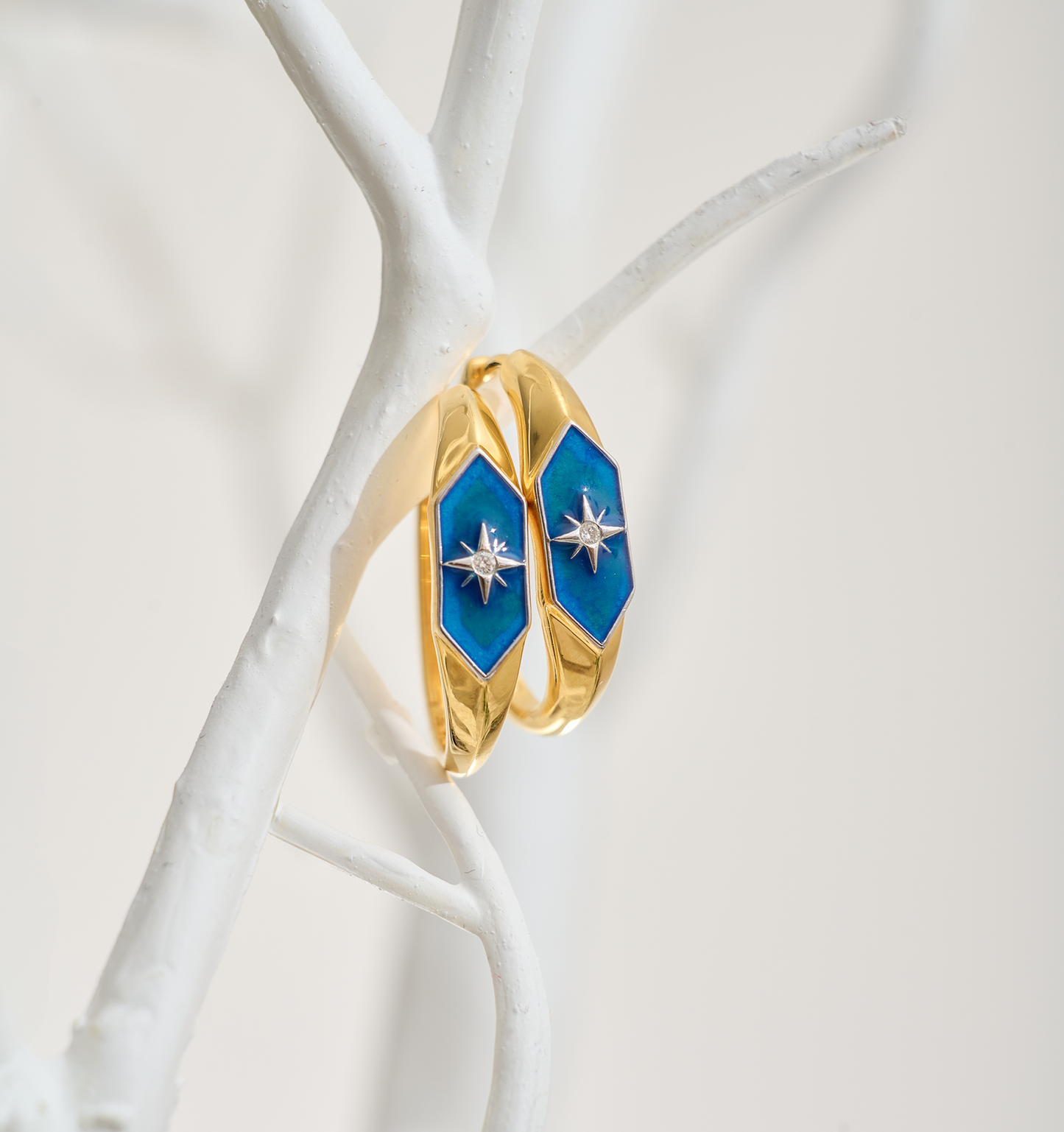 Gold Lumira Hoops with blue enamel and star design on white branch display