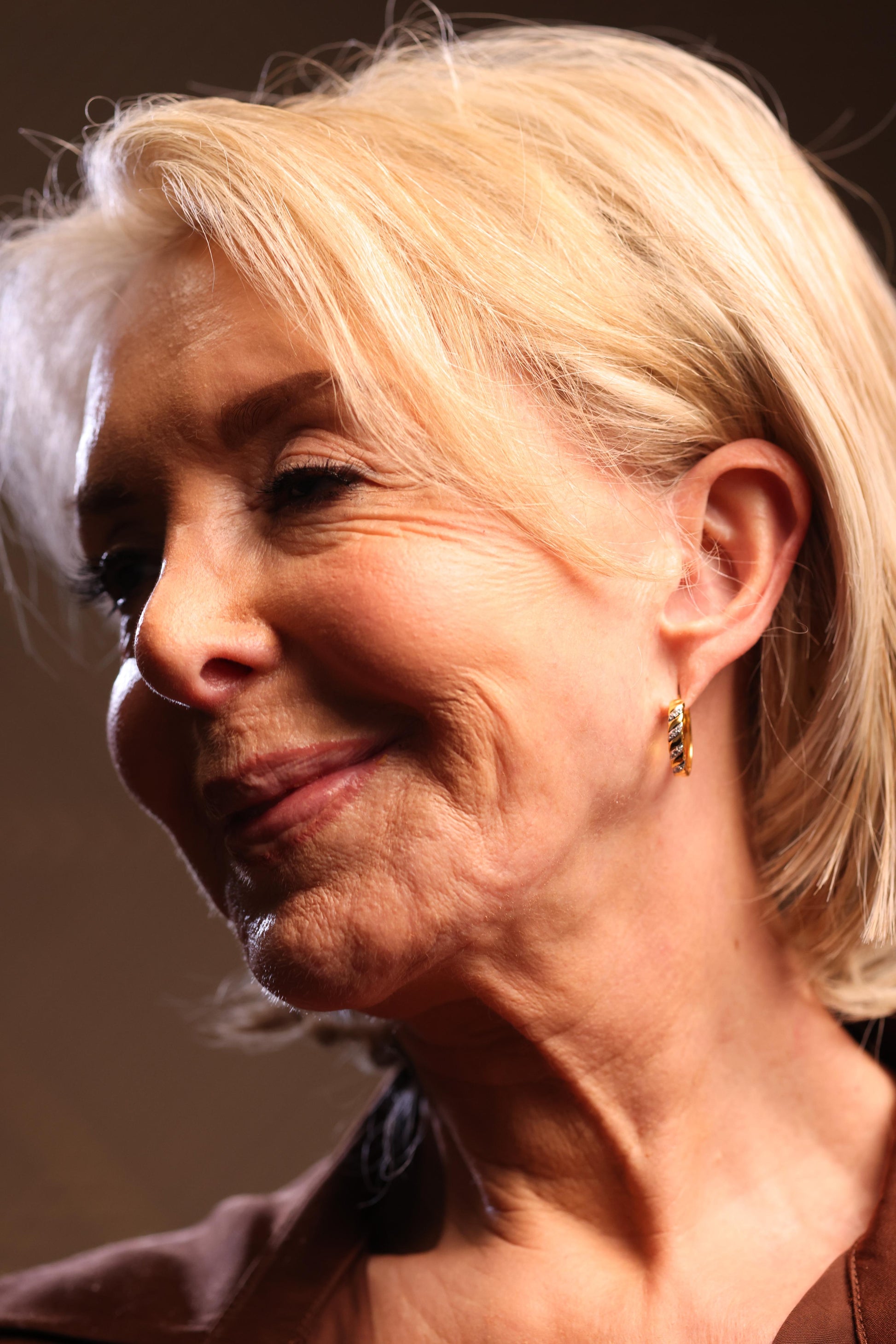 Aris Hoops two tone band white topaz stones elegant modern earrings