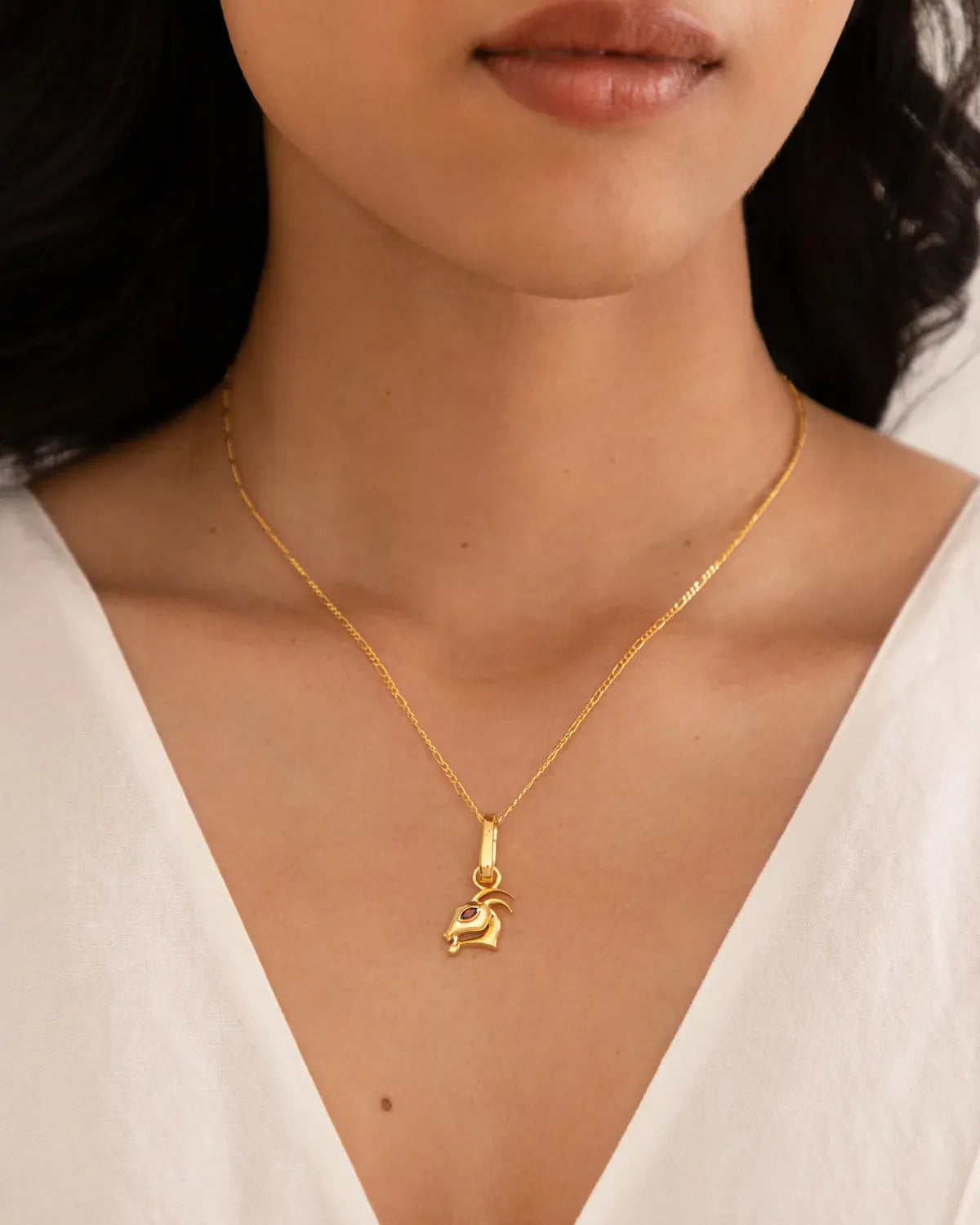 Capricorn Makara sea goat symbol with red garnet gemstone representing patience and purposefulness