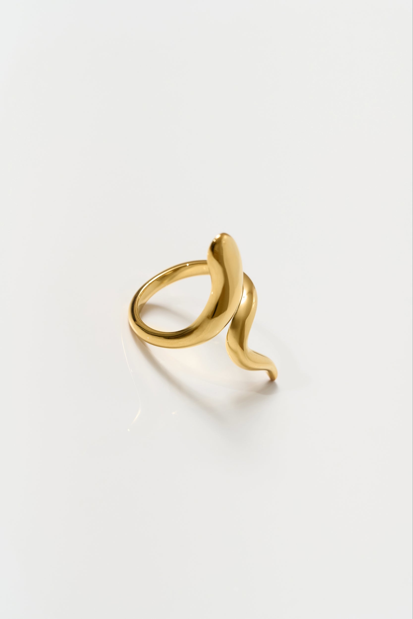 Saachi Ring elegant gold band symbolizing movement and inner conviction